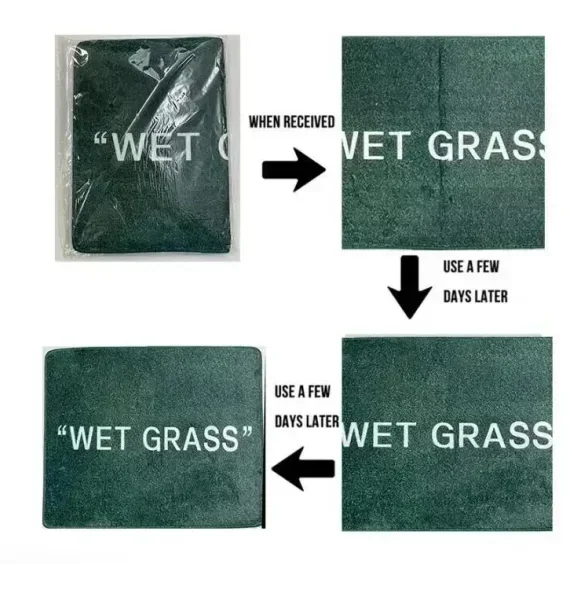 Chic Forest Mushroom Circular Area Rug Ultra-Soft Microfiber Machine Washable Perfect for Bedroom Living Room or Dorm Decoration