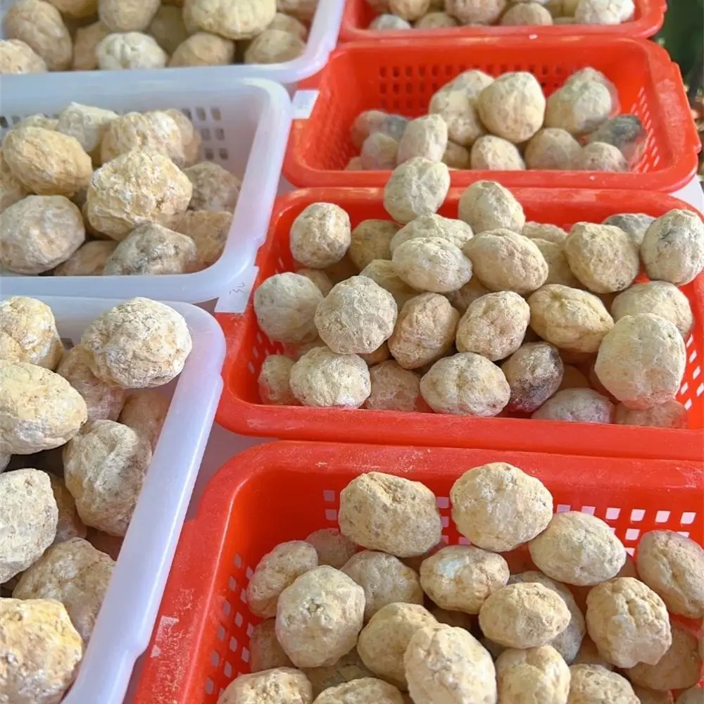 Wholesale Geodes Unopened Natural Agate Geode Real Crystal Specimen Contains Reiki Clean Clusters Beautiful Stones Jewelry Gifts