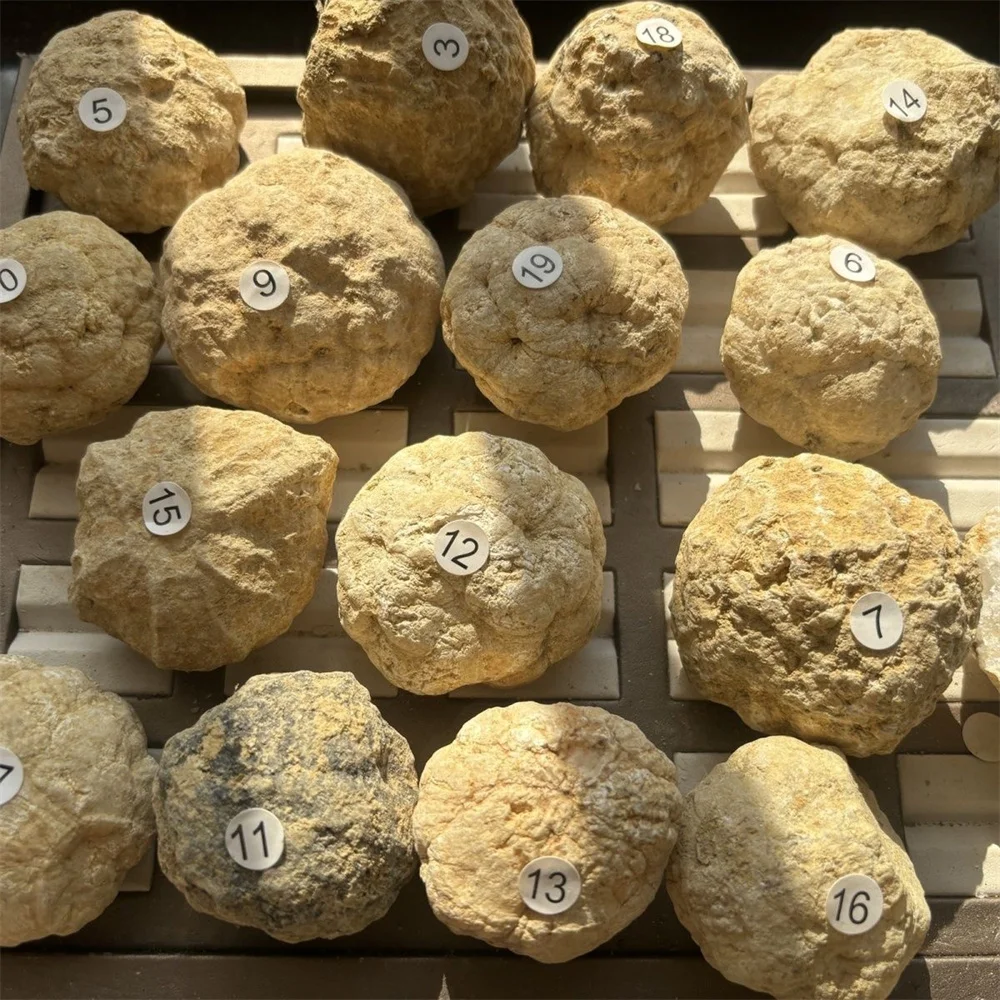 Wholesale Geodes Unopened Natural Agate Geode Real Crystal Specimen Contains Reiki Clean Clusters Beautiful Stones Jewelry Gifts