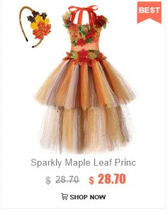 Sparkly Pink Glinda Witch Costumes for Girls Halloween Long Tutu Dress with Silver Stars Puff Sleeves Princess Ball Gown Outfit