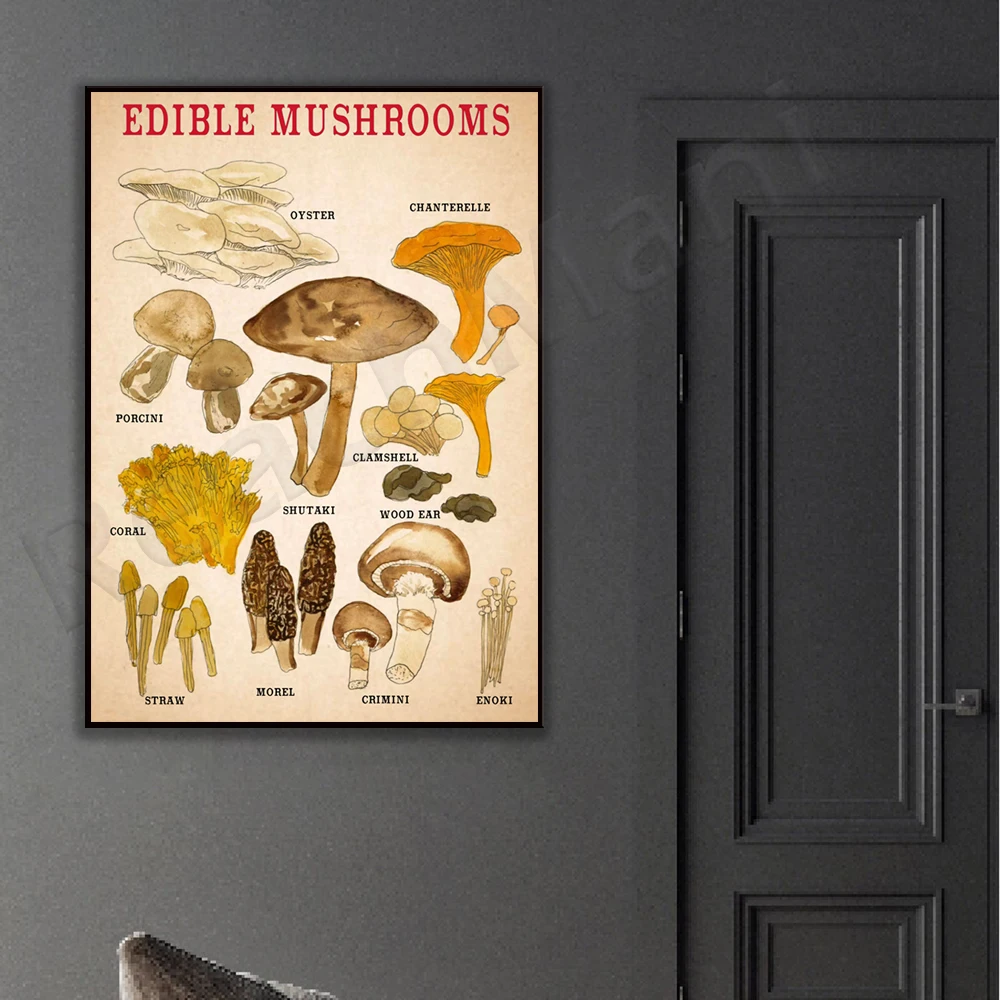 edible mushroom poster, vintage mushroom poster, french mushroom print, botanical print, mushroom art home decor edible mushroom poster, vintage mushroom poster, french mushroom print, botanical print, mushroom art home decor