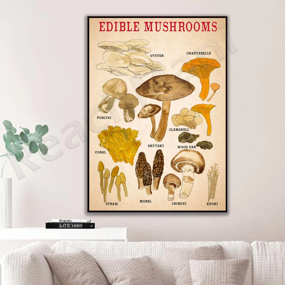 edible mushroom poster, vintage mushroom poster, french mushroom print, botanical print, mushroom art home decor edible mushroom poster, vintage mushroom poster, french mushroom print, botanical print, mushroom art home decor