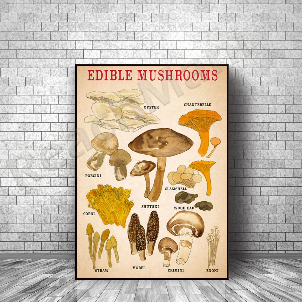 edible mushroom poster, vintage mushroom poster, french mushroom print, botanical print, mushroom art home decor edible mushroom poster, vintage mushroom poster, french mushroom print, botanical print, mushroom art home decor
