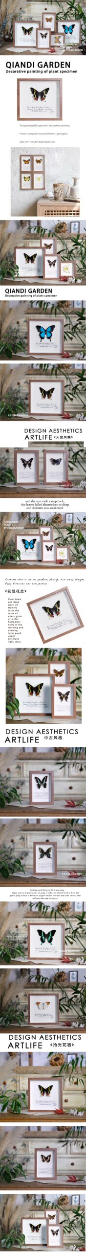 Real Butterfly Specimen Photo Frame Insect Specimen Wall Art Simple Rustic Style Mori Ornament Decorative Painting Creative Gift