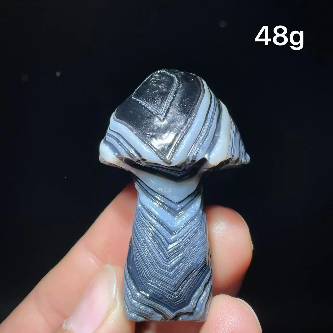 Natural  Agate mushroom Alxa Gobi Eye Mineral Specimen Energy Crystal Chakra Reiki Healing Stone Garden Decor