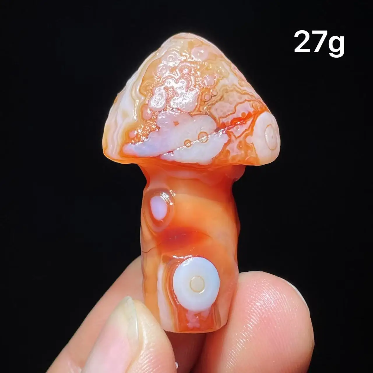 Natural  Agate mushroom Alxa Gobi Eye Mineral Specimen Energy Crystal Chakra Reiki Healing Stone Garden Decor