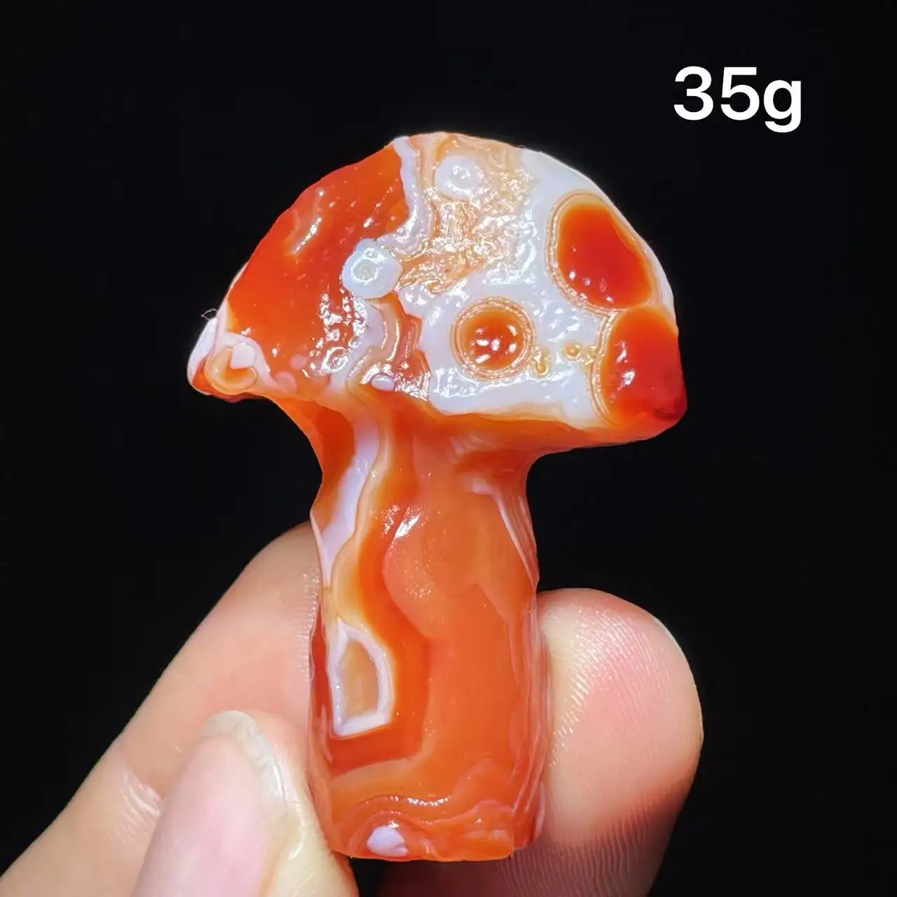 Natural  Agate mushroom Alxa Gobi Eye Mineral Specimen Energy Crystal Chakra Reiki Healing Stone Garden Decor