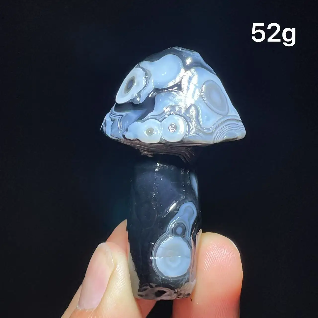 Natural  Agate mushroom Alxa Gobi Eye Mineral Specimen Energy Crystal Chakra Reiki Healing Stone Garden Decor