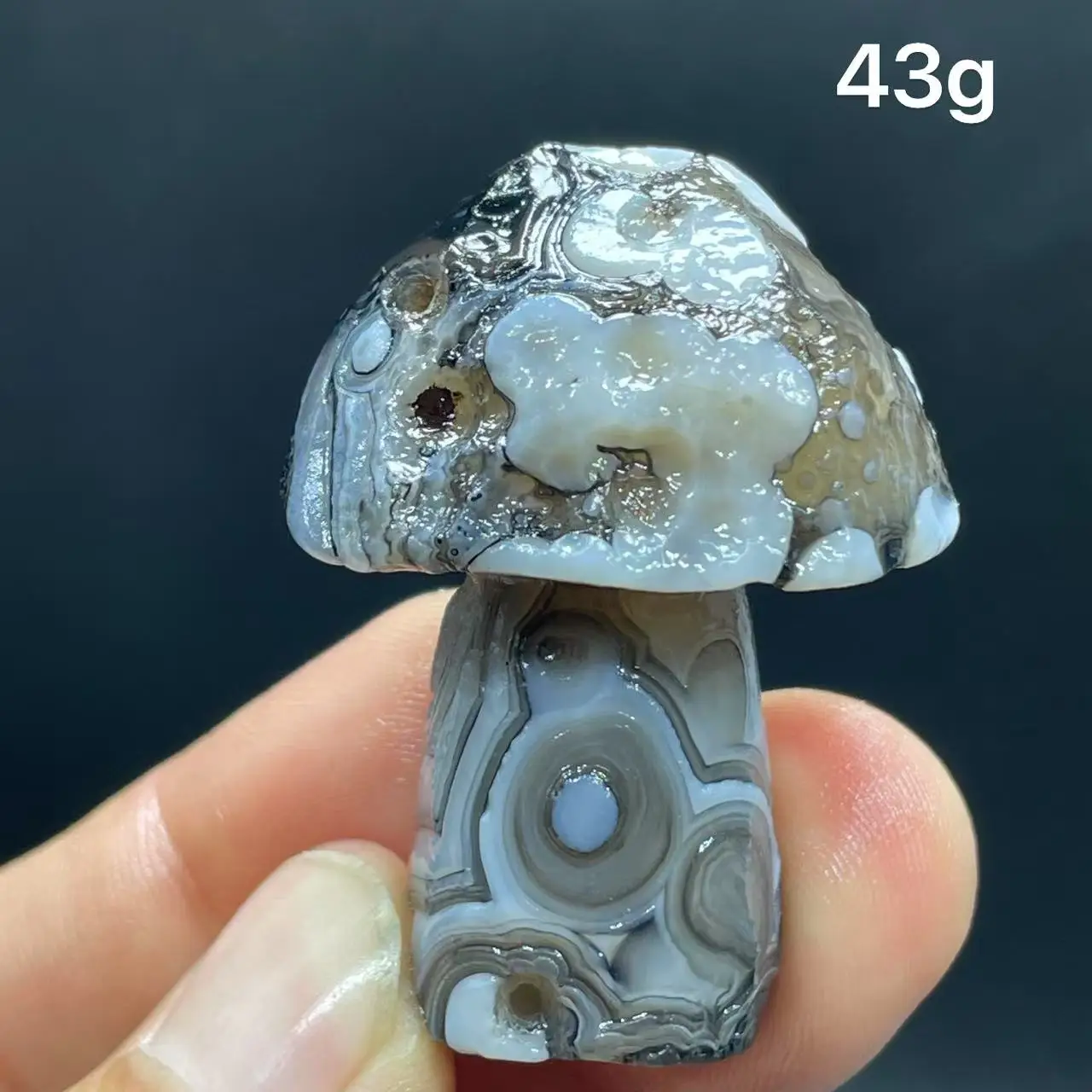 Natural  Agate mushroom Alxa Gobi Eye Mineral Specimen Energy Crystal Chakra Reiki Healing Stone Garden Decor