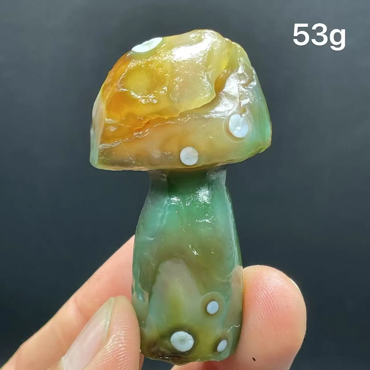 Natural  Agate mushroom Alxa Gobi Eye Mineral Specimen Energy Crystal Chakra Reiki Healing Stone Garden Decor