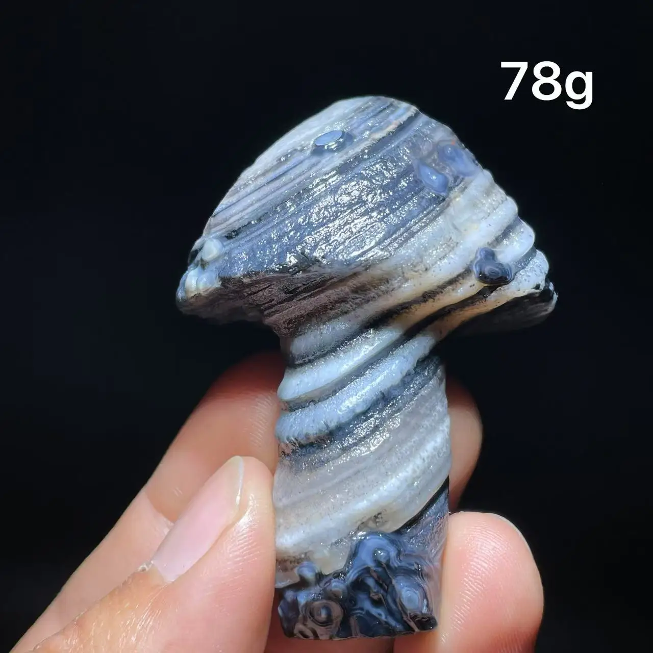 Natural  Agate mushroom Alxa Gobi Eye Mineral Specimen Energy Crystal Chakra Reiki Healing Stone Garden Decor