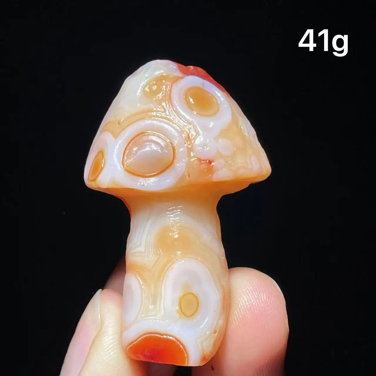 Natural  Agate mushroom Alxa Gobi Eye Mineral Specimen Energy Crystal Chakra Reiki Healing Stone Garden Decor