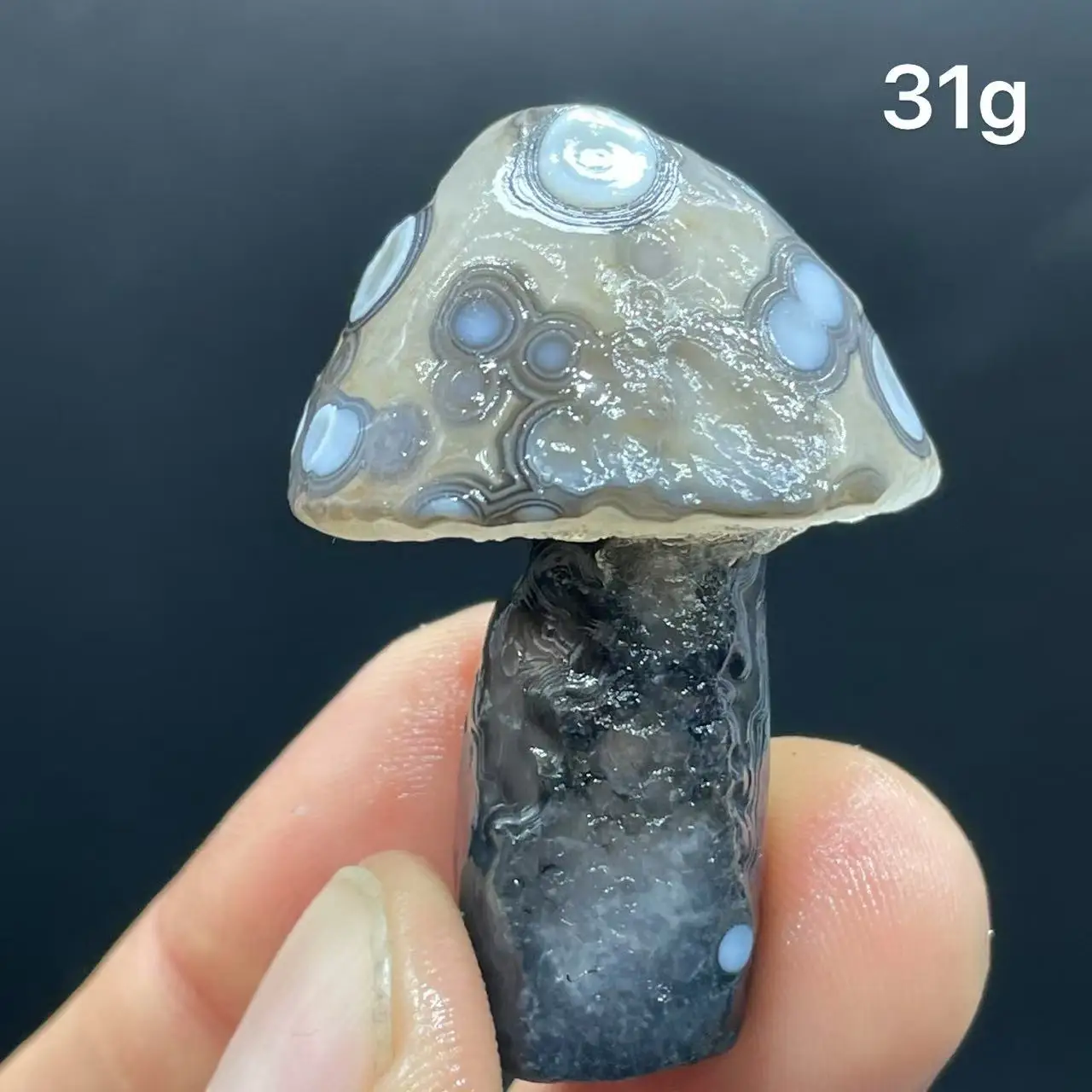 Natural  Agate mushroom Alxa Gobi Eye Mineral Specimen Energy Crystal Chakra Reiki Healing Stone Garden Decor