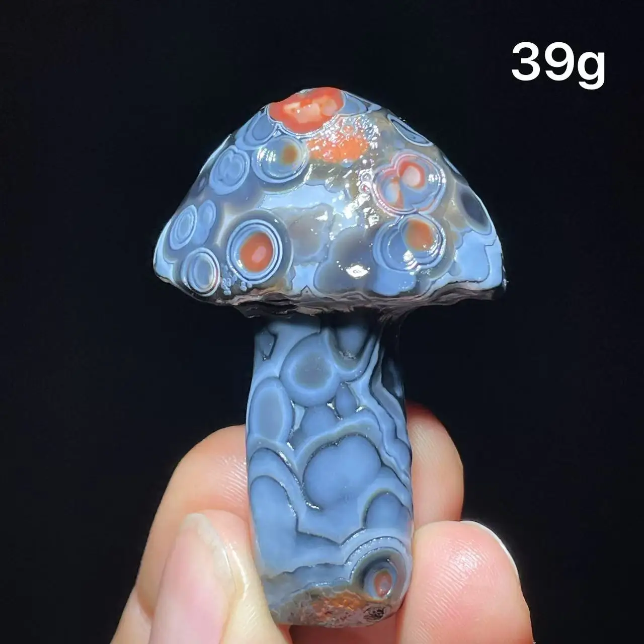 Natural  Agate mushroom Alxa Gobi Eye Mineral Specimen Energy Crystal Chakra Reiki Healing Stone Garden Decor