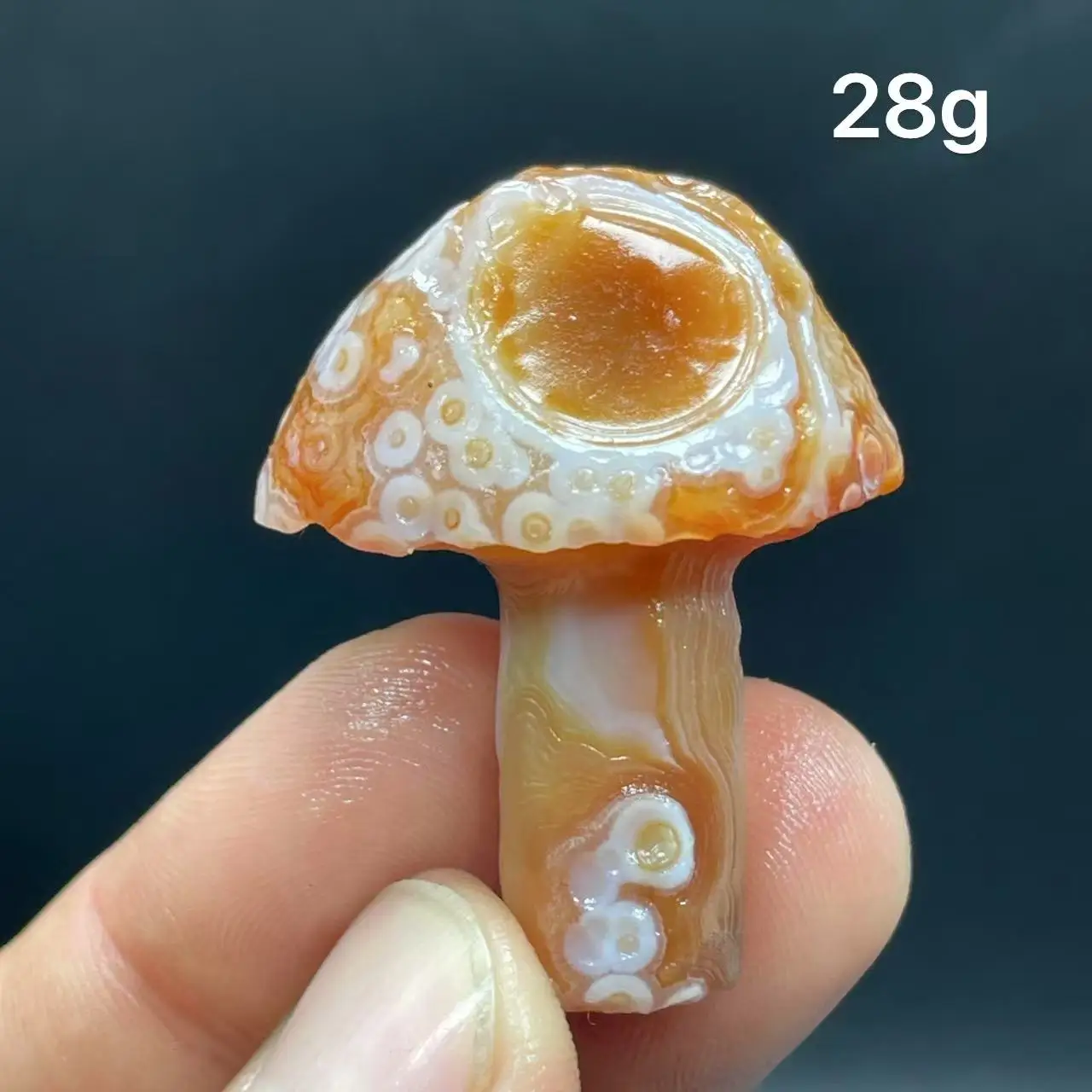 Natural  Agate mushroom Alxa Gobi Eye Mineral Specimen Energy Crystal Chakra Reiki Healing Stone Garden Decor