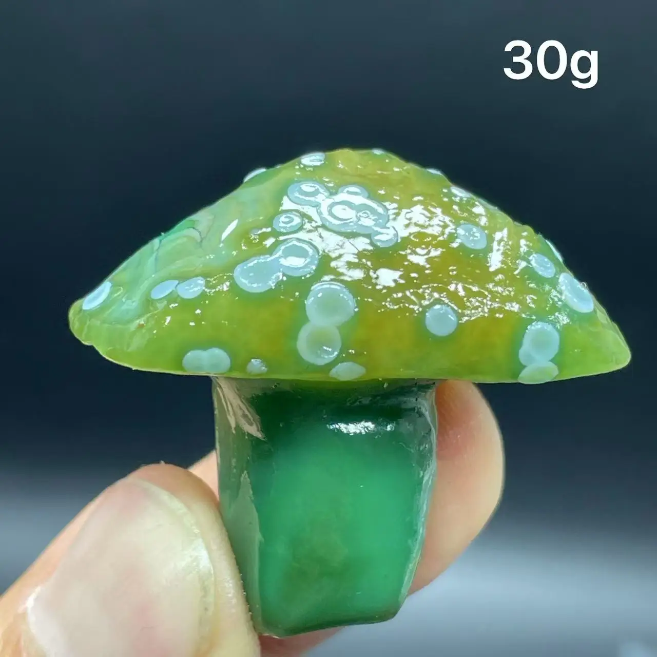 Natural  Agate mushroom Alxa Gobi Eye Mineral Specimen Energy Crystal Chakra Reiki Healing Stone Garden Decor