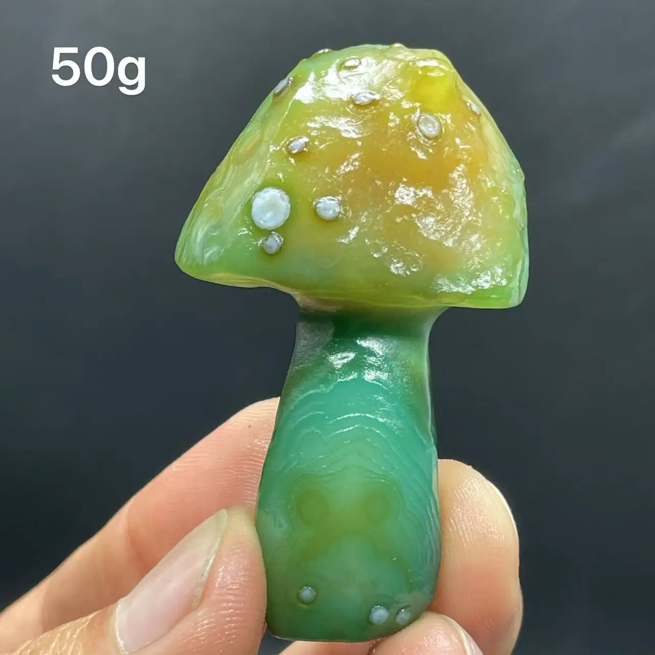 Natural  Agate mushroom Alxa Gobi Eye Mineral Specimen Energy Crystal Chakra Reiki Healing Stone Garden Decor