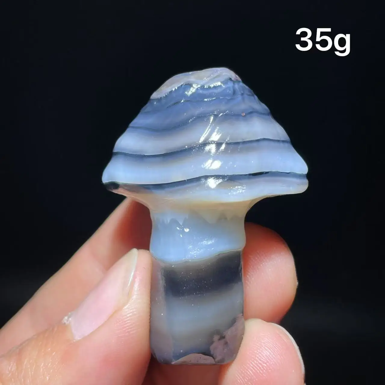 Natural  Agate mushroom Alxa Gobi Eye Mineral Specimen Energy Crystal Chakra Reiki Healing Stone Garden Decor