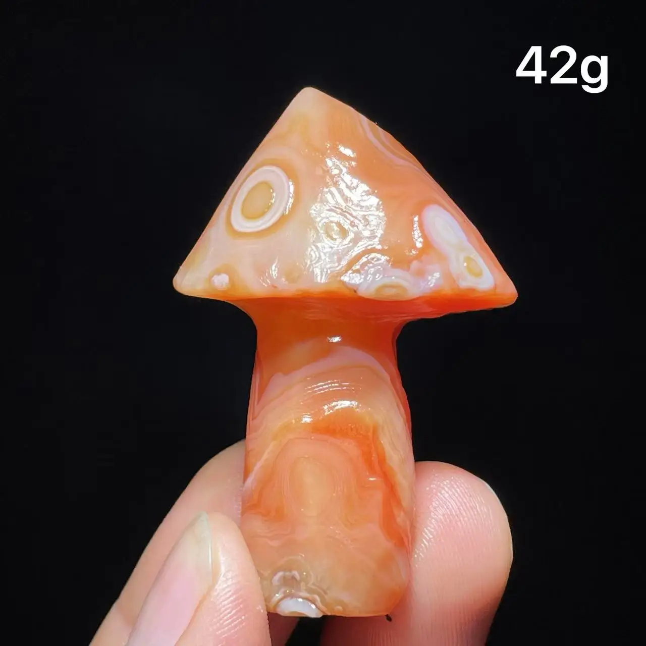 Natural  Agate mushroom Alxa Gobi Eye Mineral Specimen Energy Crystal Chakra Reiki Healing Stone Garden Decor