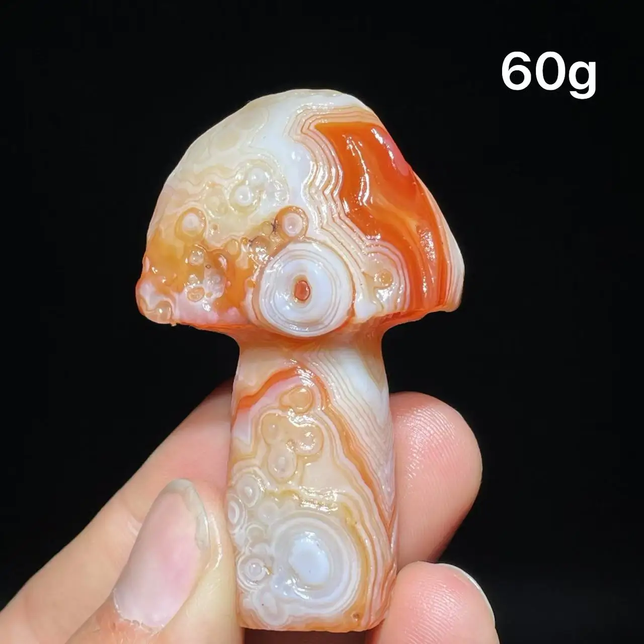 Natural  Agate mushroom Alxa Gobi Eye Mineral Specimen Energy Crystal Chakra Reiki Healing Stone Garden Decor