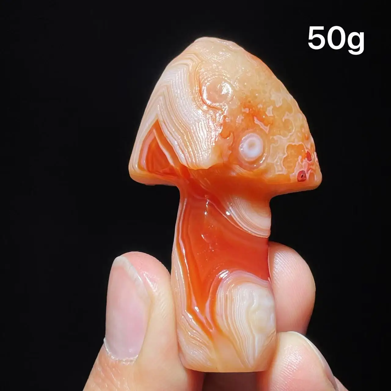 Natural  Agate mushroom Alxa Gobi Eye Mineral Specimen Energy Crystal Chakra Reiki Healing Stone Garden Decor