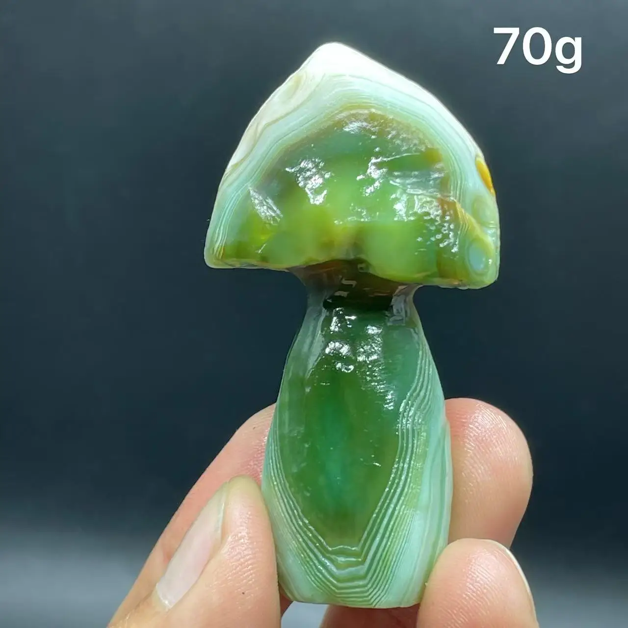 Natural  Agate mushroom Alxa Gobi Eye Mineral Specimen Energy Crystal Chakra Reiki Healing Stone Garden Decor