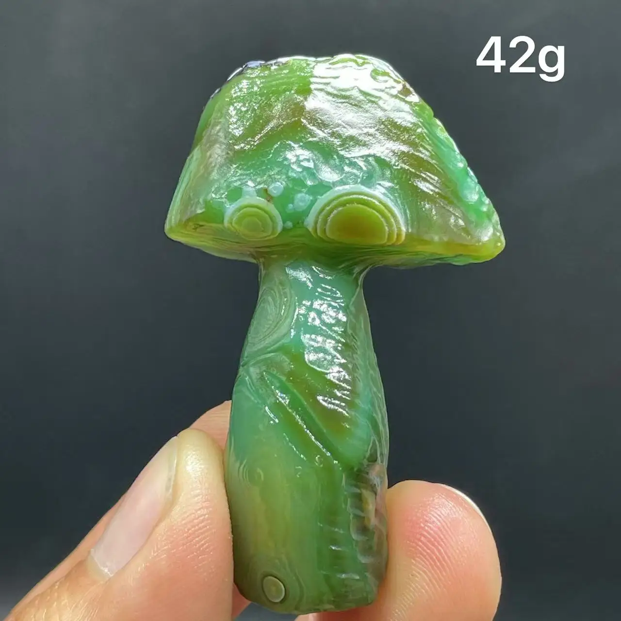 Natural  Agate mushroom Alxa Gobi Eye Mineral Specimen Energy Crystal Chakra Reiki Healing Stone Garden Decor