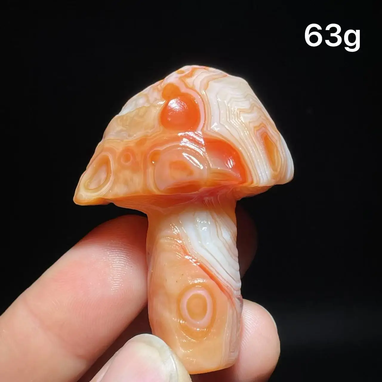 Natural  Agate mushroom Alxa Gobi Eye Mineral Specimen Energy Crystal Chakra Reiki Healing Stone Garden Decor