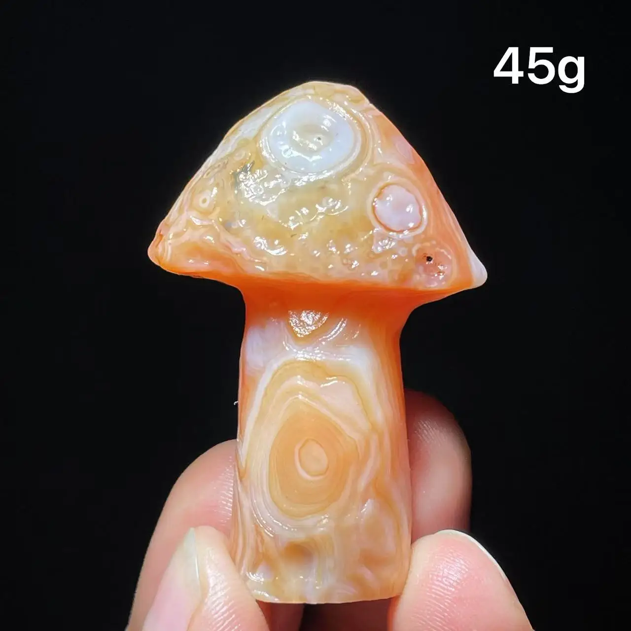 Natural  Agate mushroom Alxa Gobi Eye Mineral Specimen Energy Crystal Chakra Reiki Healing Stone Garden Decor