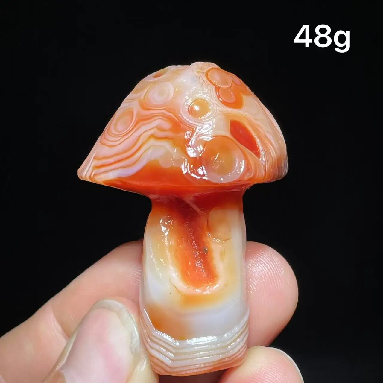 Natural  Agate mushroom Alxa Gobi Eye Mineral Specimen Energy Crystal Chakra Reiki Healing Stone Garden Decor