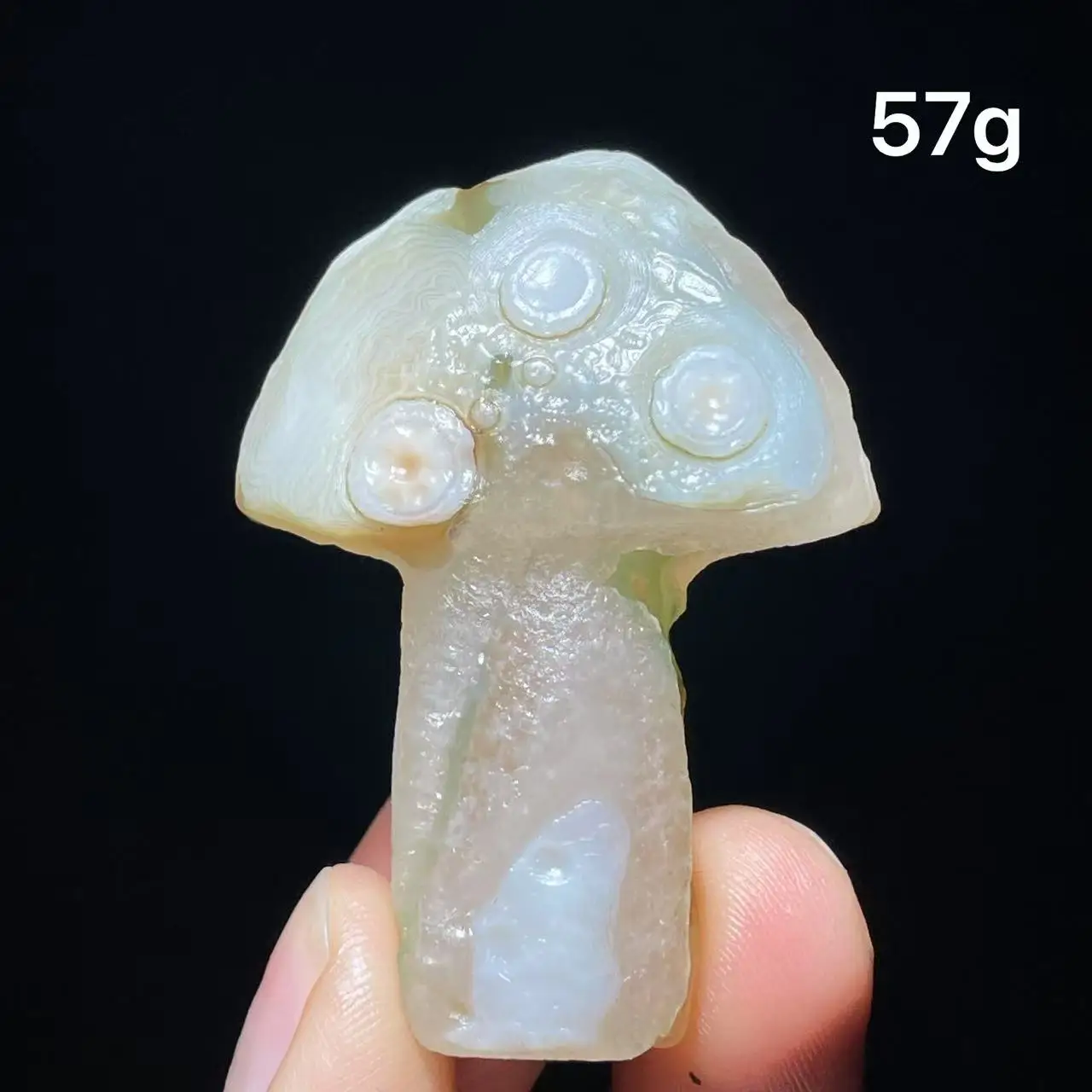Natural  Agate mushroom Alxa Gobi Eye Mineral Specimen Energy Crystal Chakra Reiki Healing Stone Garden Decor