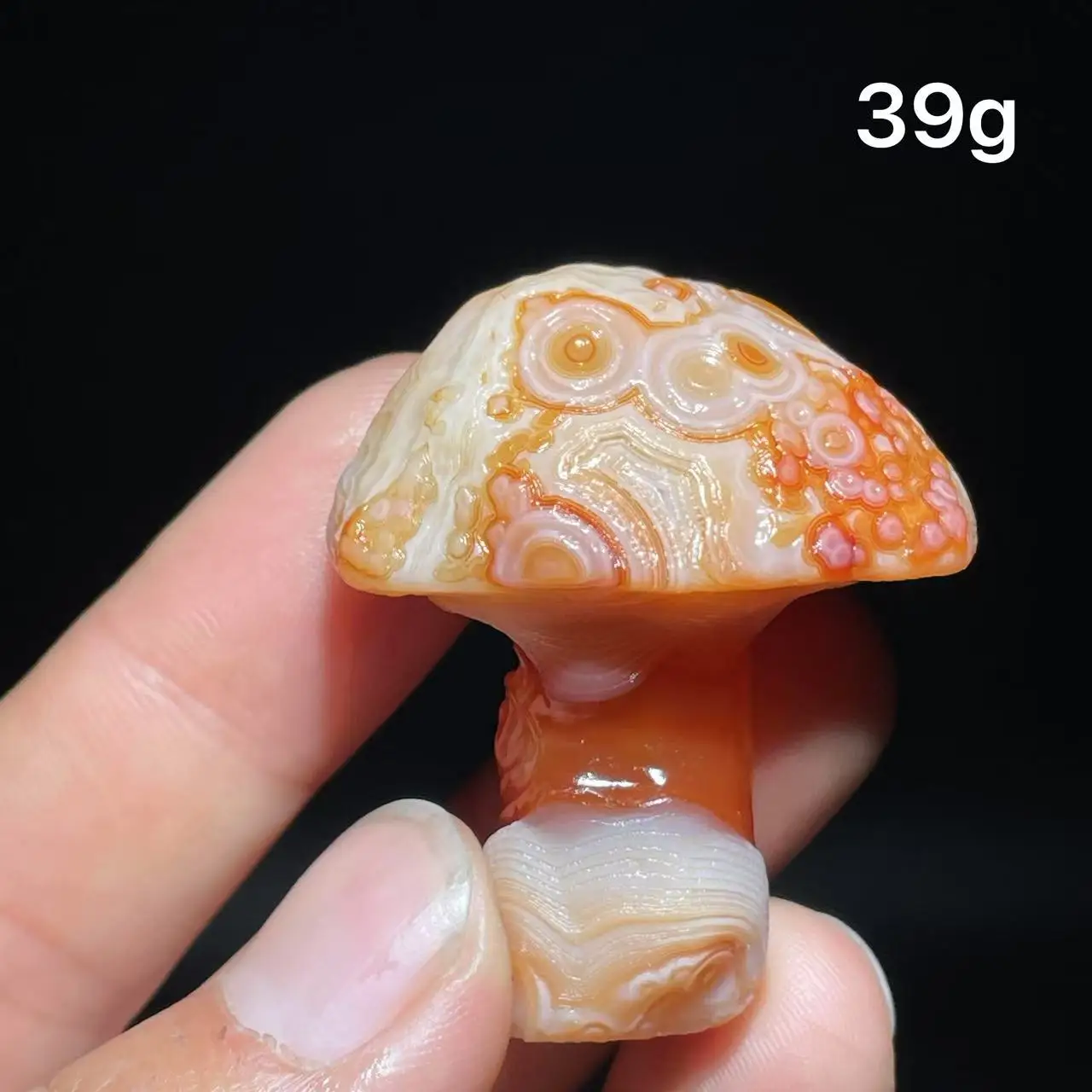 Natural  Agate mushroom Alxa Gobi Eye Mineral Specimen Energy Crystal Chakra Reiki Healing Stone Garden Decor