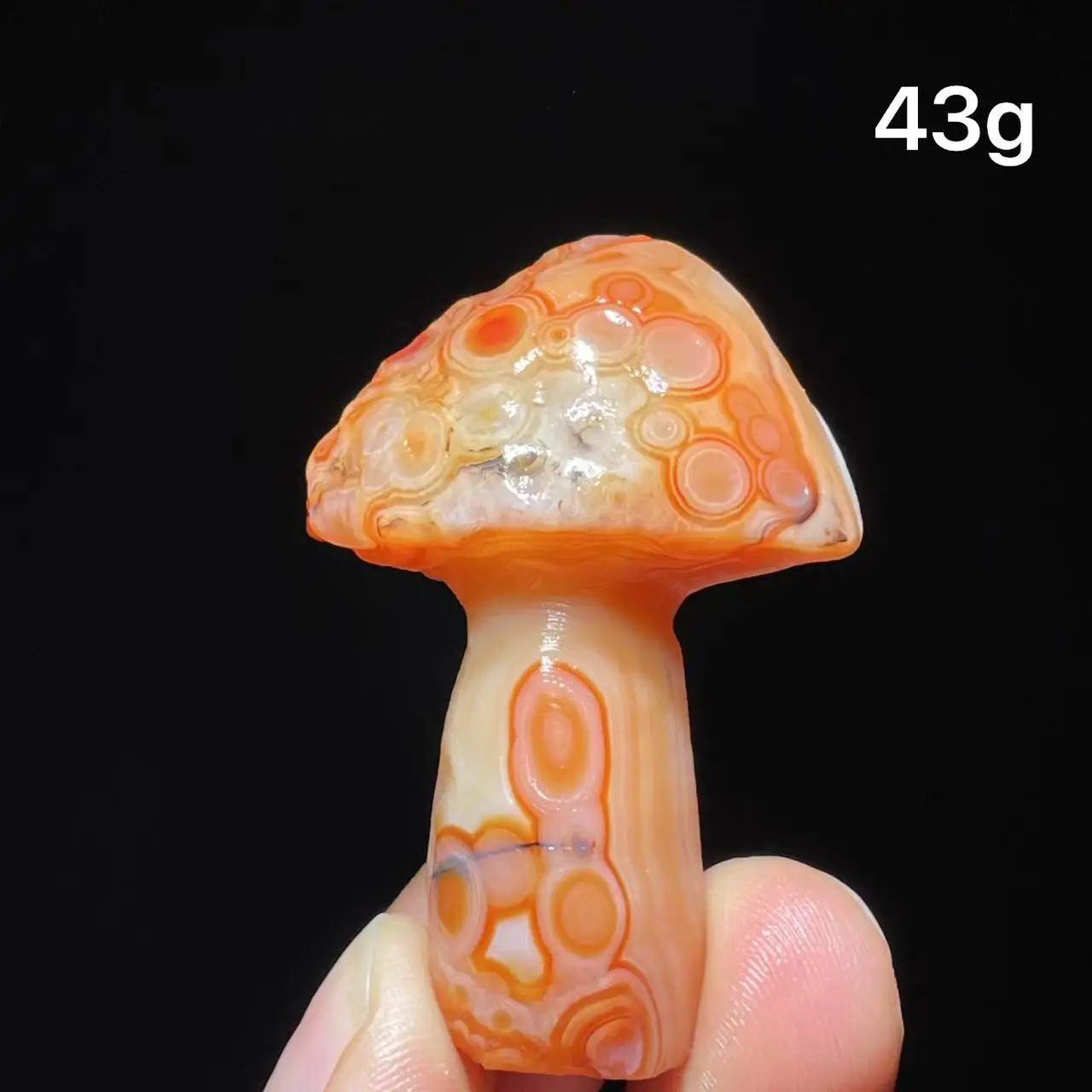 Natural  Agate mushroom Alxa Gobi Eye Mineral Specimen Energy Crystal Chakra Reiki Healing Stone Garden Decor